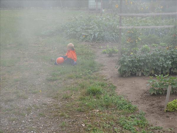 TagderoffenenTuer2013 208