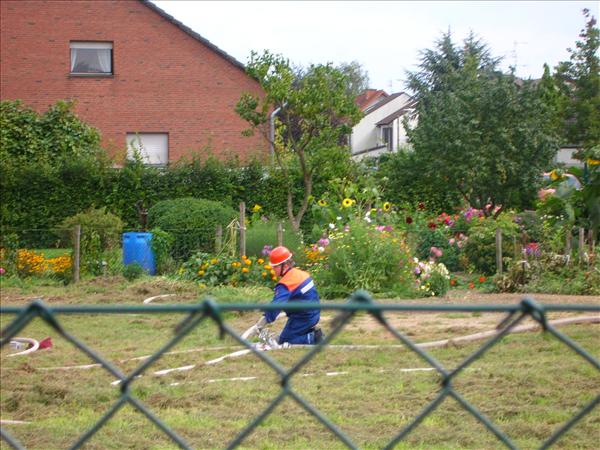 image 010
