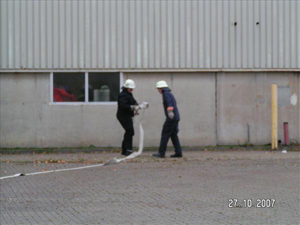image 029